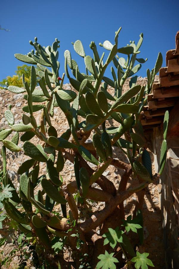 Jardin De Palme Apartment La Palme Luaran gambar